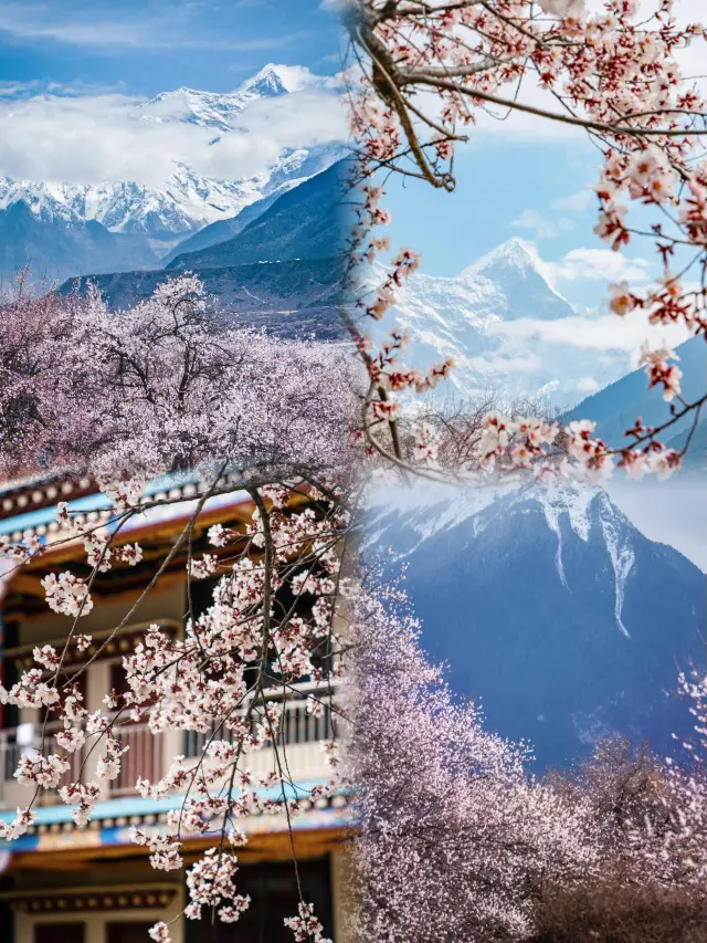 March in Nyingchi belongs to the exclusive romance of Tibet