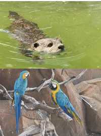 徐州九頂山野生動物園親子遊全攻略