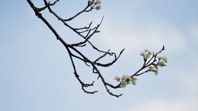 2024年3月15日 成都-金川