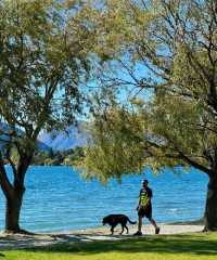 這是今天的Wanaka!四月新西蘭旅遊穿什麼!