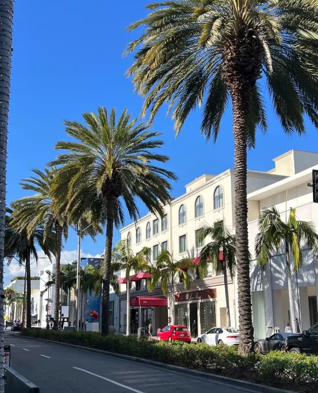 Rodeo Drive Travel Guide