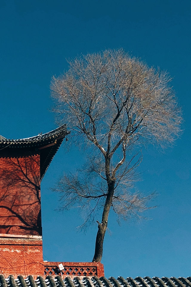 雪後的五台山才是心中的神