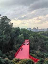 走進春天：虹橋公園，對老人小孩皆友好的深圳虹橋公園