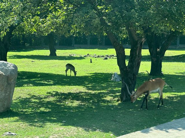 西安秦嶺野生動物園一日遊攻略