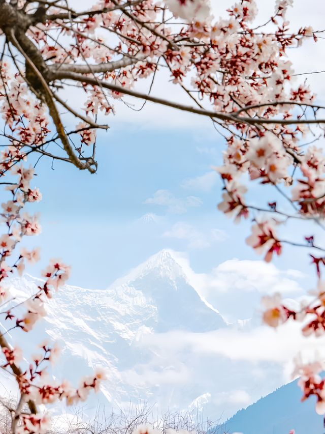 超美的世外桃源般的小眾古村落—林芝桃花