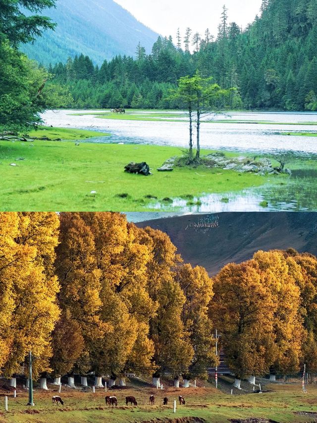 一生中一定要去一次新都橋！