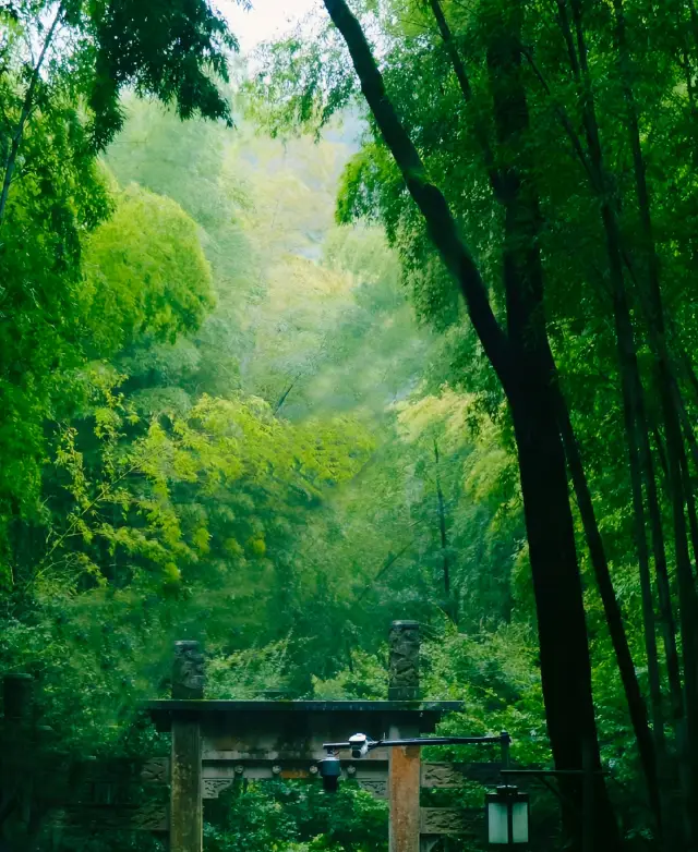 雲棲竹徑丨跟隨一場綠走進現實版的臥虎藏龍拍攝地～