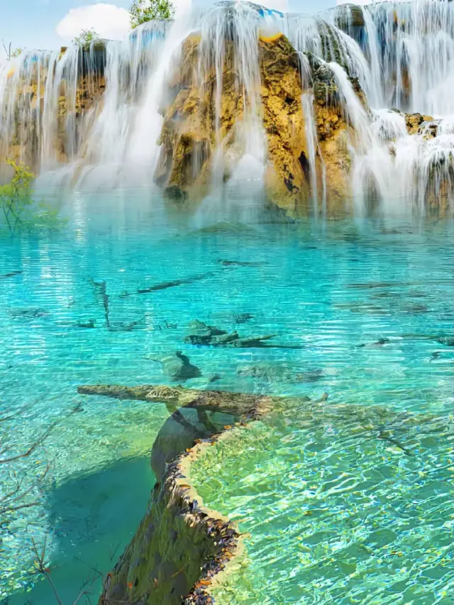 Jiuzhaigou Four Seasons Tour | Super Detailed Travel Guide||