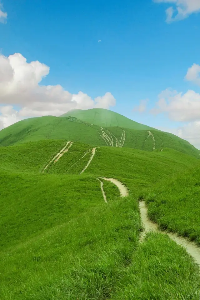 深圳30分鐘直達絕美山頂大草原 堪比武功山
