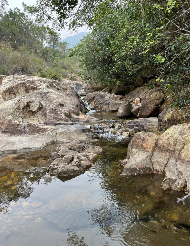 珠海黃楊山森林公園：戶外探險與徒步旅行的理想去處！