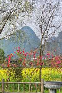 春遊賞花記｜走進桂林的“桃花源”（附攻略）