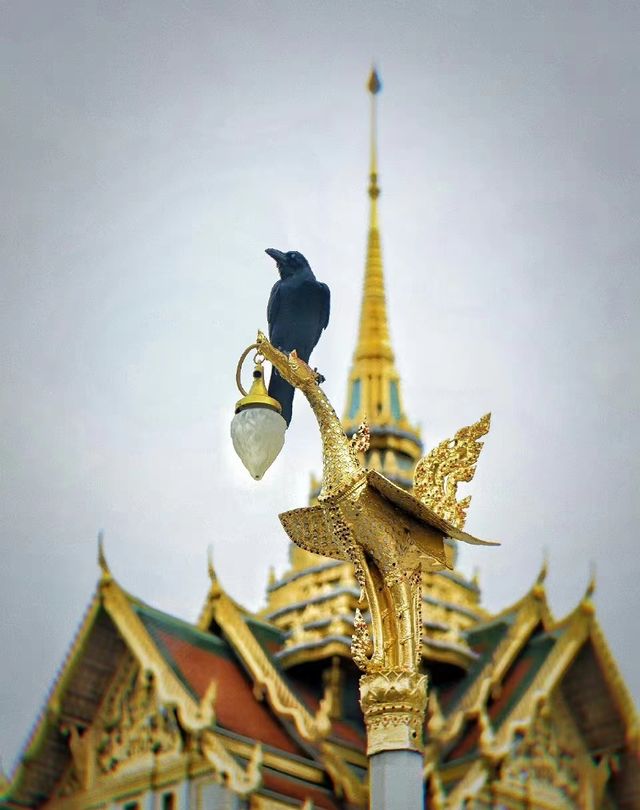 泰國超酷自由行旅遊攻略！！