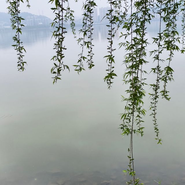 黃石磁湖