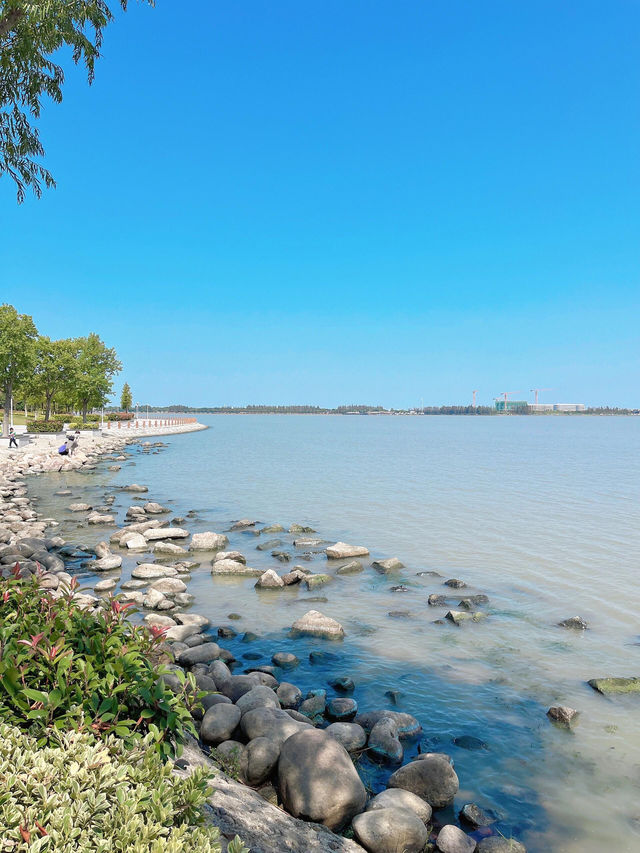 上海淀山湖｜魔都上海的後花園