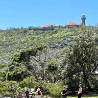 Barrenjoey Lighthouse at Palm Beach 