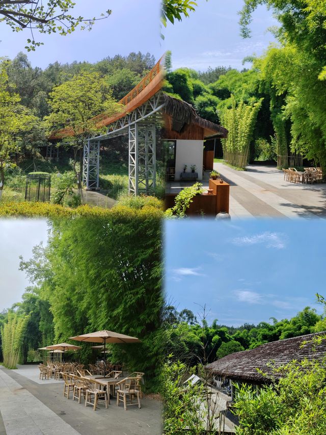 成都永安湖森林公園，地鐵直達的城市森林露營樂園