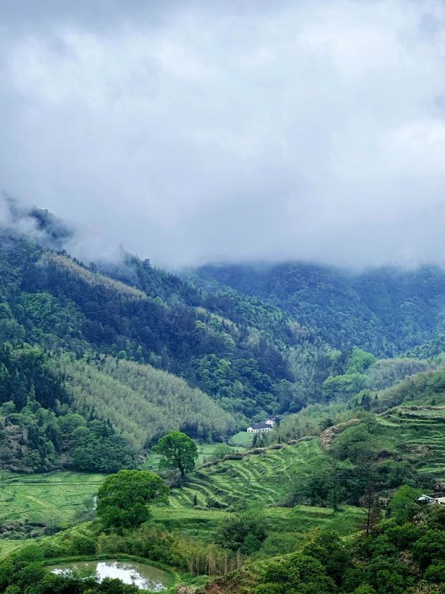 四月份的篁嶺景區