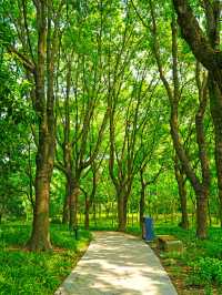 小眾偏僻的華夏公園也有優勢，人少景靚，還有座“浦東獐園”