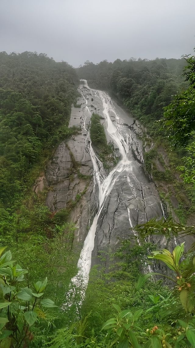 雲南金平 實在是太美了（附攻略）