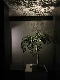 ICON LAB HOTEL 藝術感+空間美學的深圳艾垦酒店