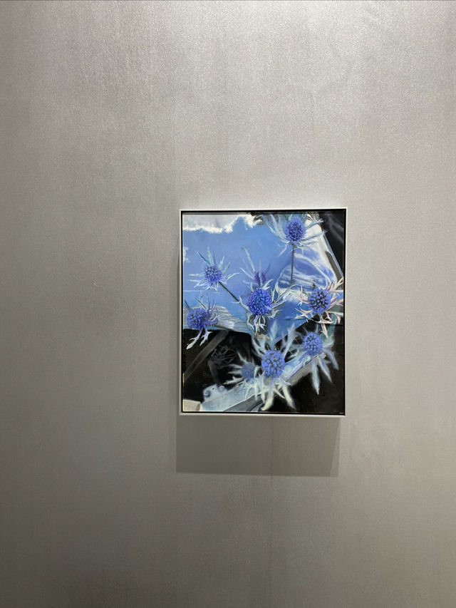 貝浩登畫廊