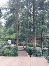 泡湯好去處～金方森林溫泉