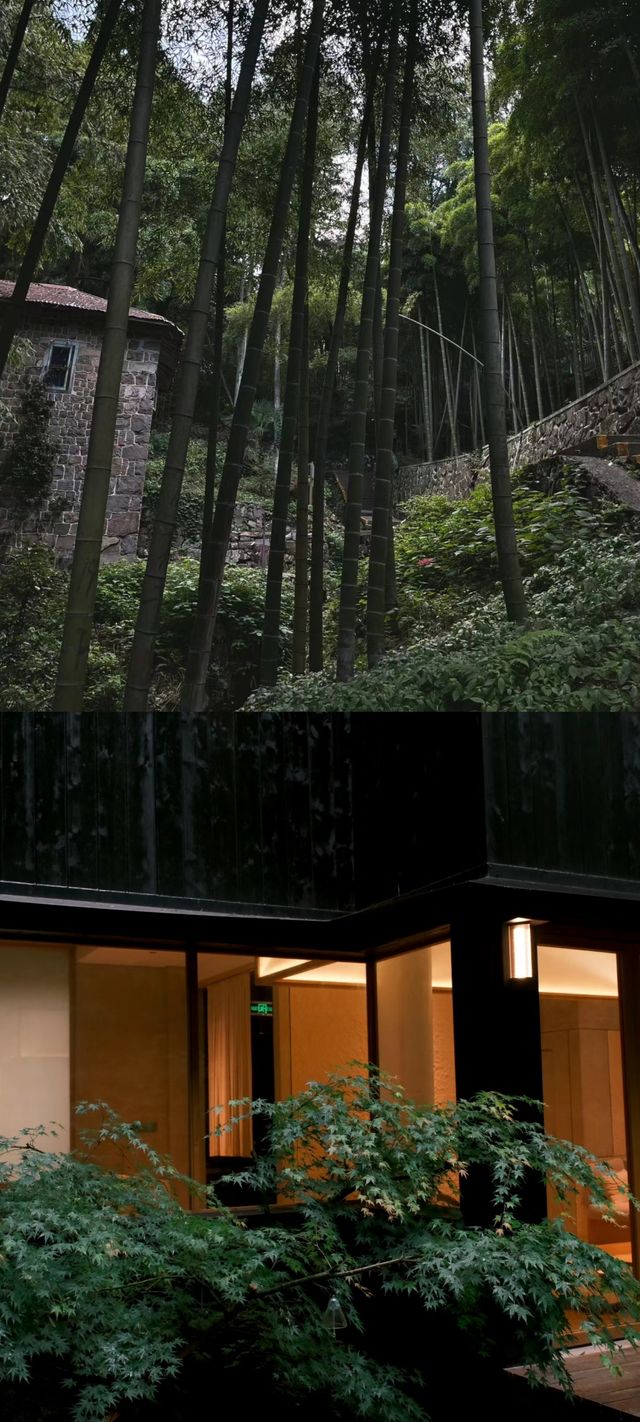 剛從莫干山回來又讓我住進了人生民宿…