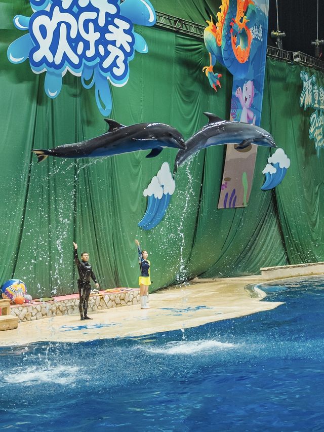 暑假遛娃｜北京海洋館旅行攻略