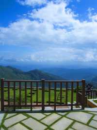 🌟 Munnar Marvels: Luxury Amidst the Clouds 🌿🏨