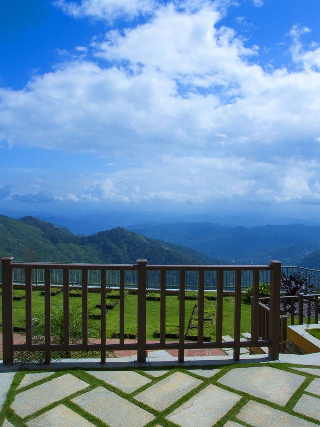 🌟 Munnar Marvels: Luxury Amidst the Clouds 🌿🏨