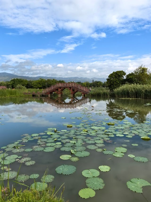 開遠鳳凰濕地公園
