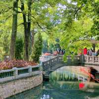 「中山公園」：免費入場，中式風格庭院，還有動物園和相親角