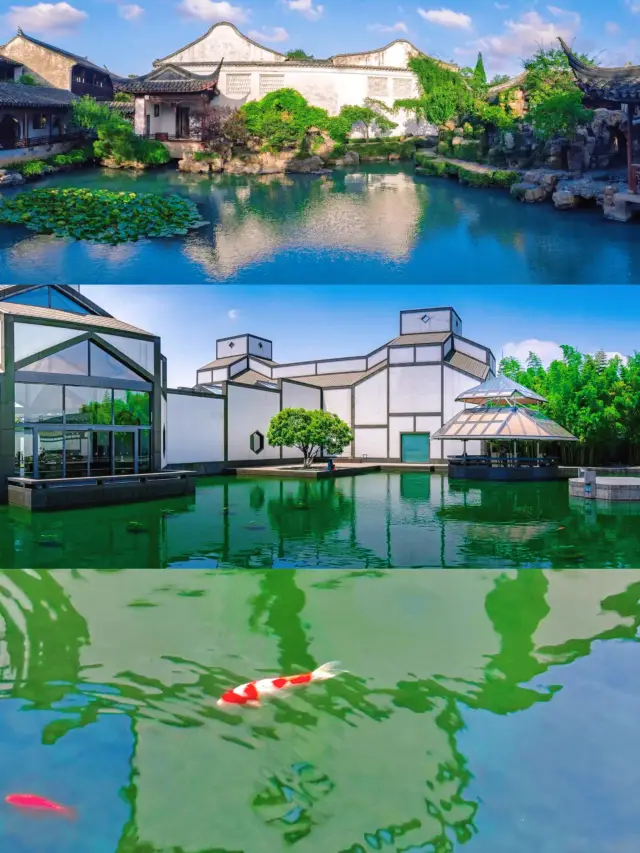 堪稱江南旅行天花板蘇州（告別夏日姑蘇）