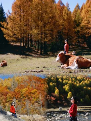 Autumn in Pangquangou.