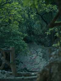 廣東韶關｜來仙門奇峽做個仙子。