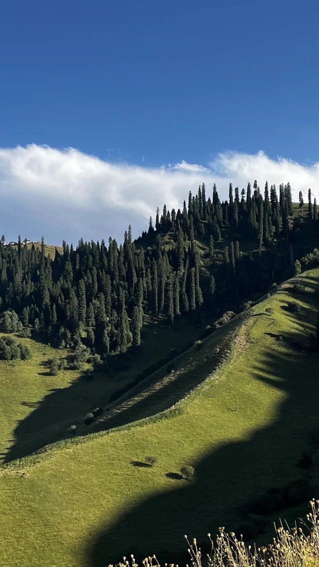 旅行攻略乌魯木齊以南的南山牧場。