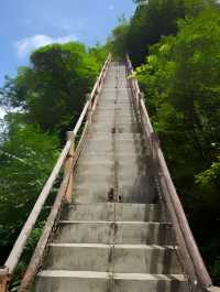 西安祥峪森林公園。