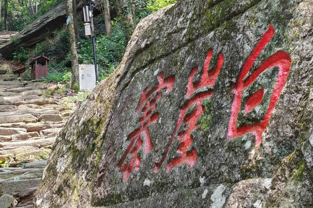 白崖寨攀龍門最近很火的打卡地你來了嗎？