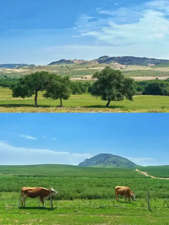 Inner Mongolia||Experience the lush grasslands of Tongliao, Keerqin.