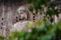 天下之中在哪？西周建城洛邑，是為天下之中。洛邑即在今洛陽。十三朝古都，媲美長安！ 洛陽怎能不去？了我。