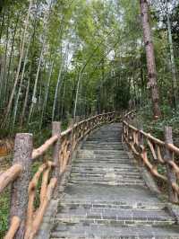 武漢 | 青龍山 | 一起徒步+快樂吸氧。