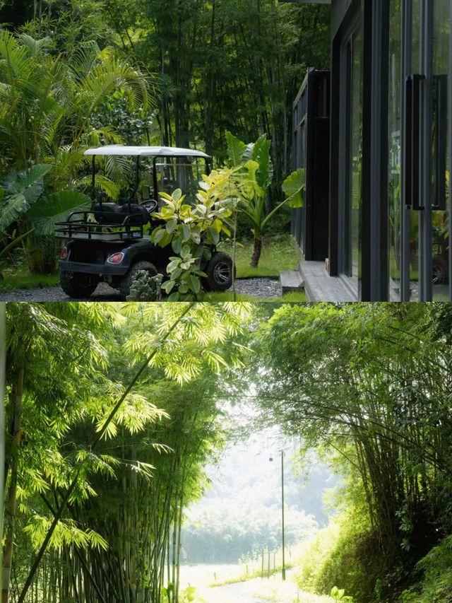 廣州增城民宿|藏在山裡的高端野奢營地。