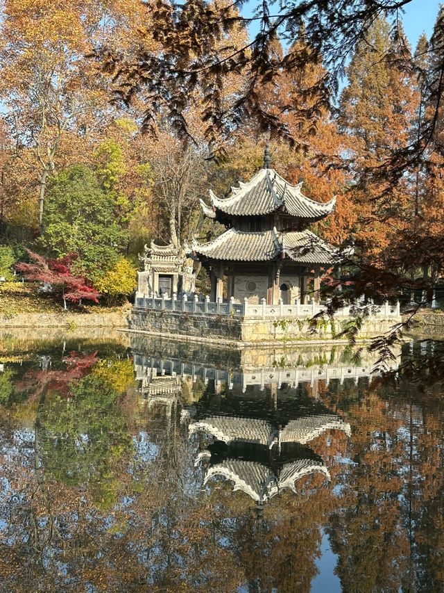 襄陽習家池｜打卡賞楓葉的天花板。