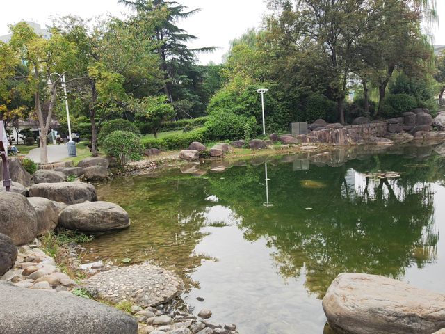 新虹橋中心花園。