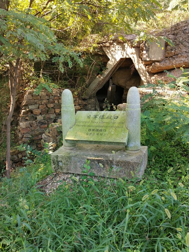 參觀東雞冠山日俄戰爭遺址。