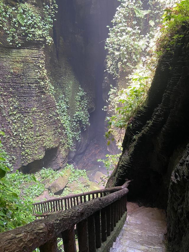 宜賓 僰王山｜遠離霧霾 走進氧吧。