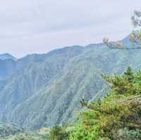 來羊獅慕爬山啦
