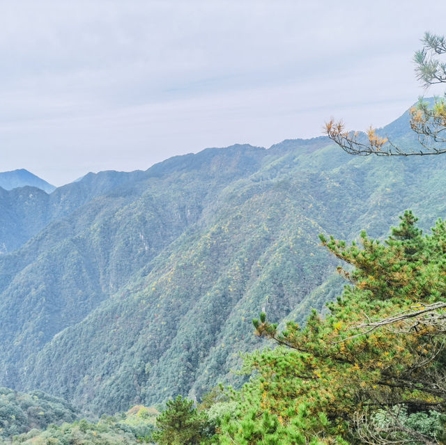 來羊獅慕爬山啦