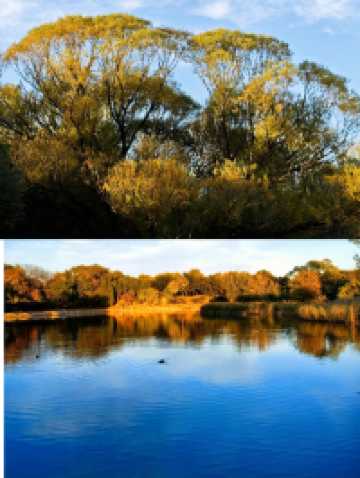 圓明園公園的絕美秋景即將消逝,趕快去欣賞吧。