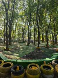可以衝嘉北郊野公園的稻田（附保姆級攻略）。